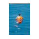 Cosulet Plutitor Korum Floating Window Combi Feeder - Fluoro Top, 4g Cosulet Plutitor Korum Floating Window Combi Feeder - Fluoro Top, 4g